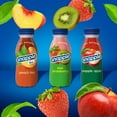 thumbnail image 4 of Snapple Apple Juice Mini Bottles, 4 of 5