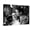 Canvas, variant on Art.com Roman Holiday, Audrey Hepburn, Gregory Peck, 1953 Premium Photographic Print, 16" x 12"
