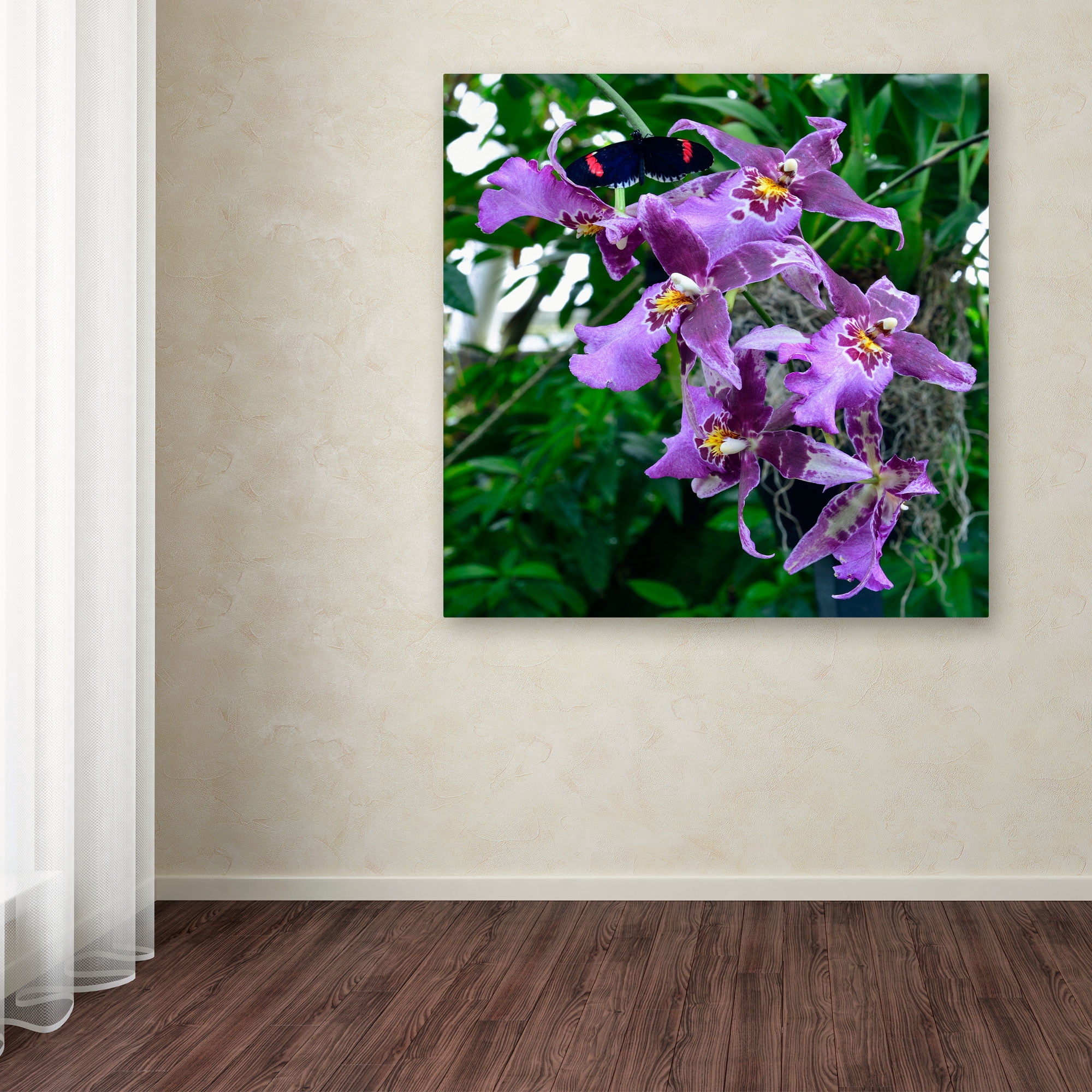 Trademark Fine Art "Postman Butterfly on Orchid" Canvas Art by Kurt Shaffer