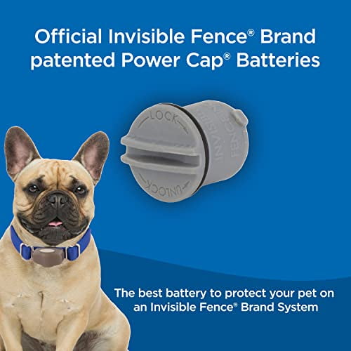 Dog Perimeter Collar Trusted Pet RFA-67 Replacement 6V Batteries