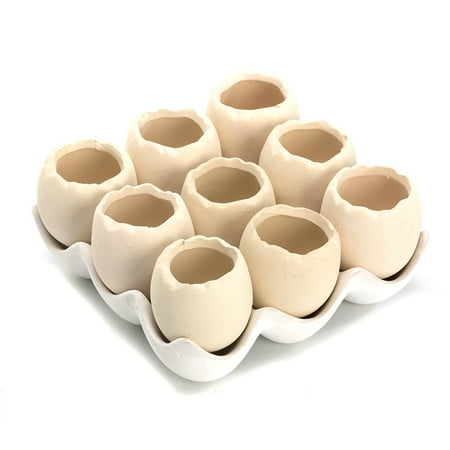 Set of 9 Mini Cute Beige Egg Shell Design Decorative Ceramic Succulent Pots with a Removable White Ceramic Saucer for Home Decor (Best Succulent Garden Design)