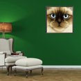 thumbnail image 4 of Cuadros Decorativos 5D DIY diamante pintura completo redondo taladro cara grande gato mosaico imagen Animal regalo Ehuebsd Nuevos Originales, 4 of 5