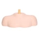 thumbnail image 2 of Plataforma De Hombro De Busto, Modelo De Hombro De Maniquí Con Soporte De Cabeza De Simulación Realista Para Salones De Belleza, 2 of 7