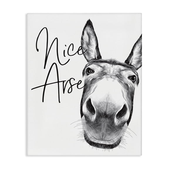 Stupell Industries Eclectic Donkey Bathroom Humor Canvas Art, 16 x 20, by Lettered and Lined