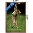 thumbnail image 3 of Famous Kitten Hang In There Poster Wall Poster, 22.375" x 34", 3 of 5