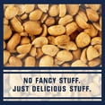 Nuts Roasted N' Salted Peanuts Snacks Gluten Free, Bulk Pack of 1 oz