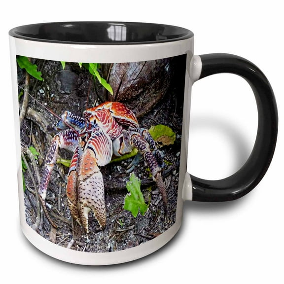 3drose, Coconut Crab, 11oz Two-tone Black Mug