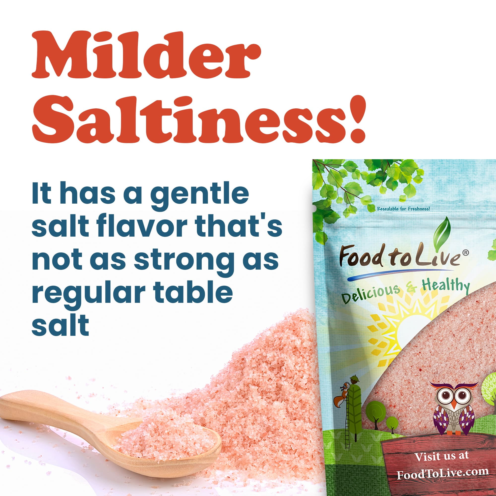 Himalayan Pink Salt – Fine, 10 Pounds — Raw, Vegan, Kosher — by Food to Live