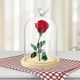 thumbnail image 5 of Clear Glass Display Cloche Dome with Bird Handle Wooden Base, Immortal Flower Glass Cover Large Size Office Home Decoration, 5 of 11