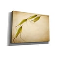 thumbnail image 2 of Epic Graffiti 'Fox Tails' by Jessica Rogers, Canvas Wall Art, 26"x18", 2 of 8