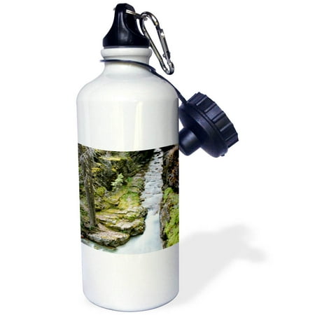 

3dRose Sunrift Gorge Montana Glacier National Park Sports Water Bottle 21oz