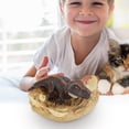 thumbnail image 4 of Attractive Simulation hatches Dinosaur Cub Educational Model Doll Children Gift., 4 of 9