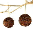 thumbnail image 2 of ZUCKER™ Ringneck Feather Christmas Ornament - 3" ball - Natural, 2 of 5