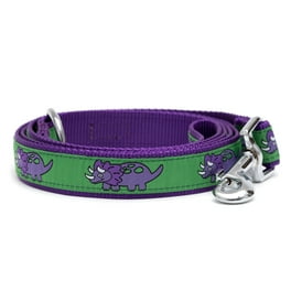 Pawz safespot locking dog leash hotsell