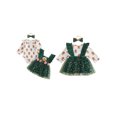 thumbnail image 2 of Cjfdfy Newborn Baby Girl Christmas Outfit Long Sleeve Romper Santa Embroidery Tulle  Star Patchwork Dress Bow Headband 3 Piece Set Infant Christmas Dress Fall Winter Clothes Set 0-24M, 2 of 9