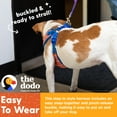 thumbnail image 5 of The Dodo Step-in Style Pet Harness for Dogs, Striped, Small, 5 of 15