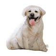 thumbnail image 4 of Cojín de sofá con respaldo de peluche de animales para niños Labrador, 4 of 9