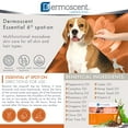 Dermoscent Essential 6 spoton Dog Skin Care for Dandruff & Allergy