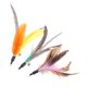 thumbnail image 5 of 5 Unids/Lote, Juguetes Coloridos Para Gatos, Reemplazo De Plumas Para Varita Interactiva Para Gatos, 5 of 8