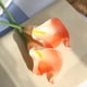 thumbnail image 5 of Ramos de Alcatraces Artificiales Bearachild Blanco 20 Piezas, 5 of 6