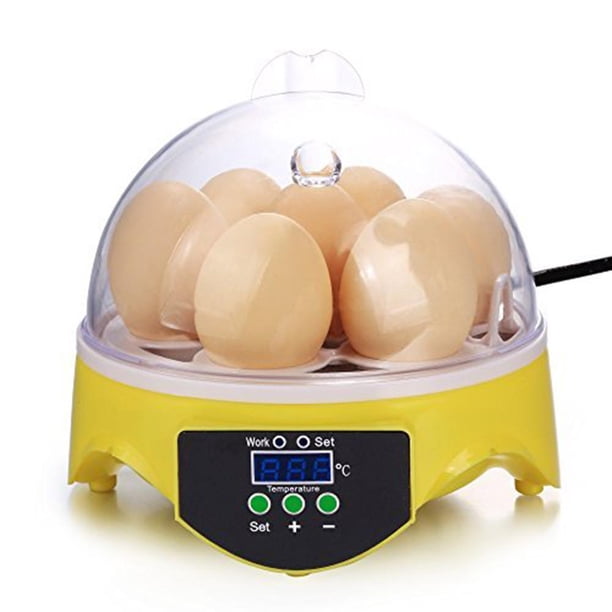 Incubadora de huevos Digital automática de 7 huevos Incubadora de huevos con giro automático UE