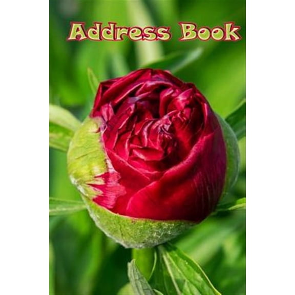 Address Book: Address Book: Modern Rose Floral Design Organizer & Address Book for Phone Numbers, Email and Contacts (Paperback)