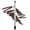 Dark Chocolate, variant on Palladio Precision Eyeliner, Electric Blue