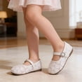thumbnail image 2 of Girls' Lace Flower Shoes, Kids' Floral Mesh Breathable Flats, Soft Sole Princess Footwear for Dressy Occasions, 2 of 4