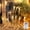 Warm White, variant on Outdoor Icicle Lights, 10M/100LEDCrystal Acrylic Icicle Fairy Curtain, for Christmas Winter Holiday Garden Party Decoration Indoor and Outdoor