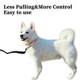 thumbnail image 2 of Correa para perros de entrenamiento de 10 metros con mango de espuma para perros pequeños y medianos, correa negra, 2 of 6