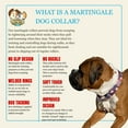 thumbnail image 7 of Country Brook Petz® 2 inch Spirit of '76 Martingale Dog Collar, Extra Large, 7 of 7