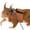 Orange, variant on Small Pet Chest Strap Leash Set for Squirrels,Chipmunks,and Small Animals,Adjustable Harness with 1.65 Meter Leash,Gentle on Throat,Lightweight Comfortable for Outdoor Walking Climbing Black