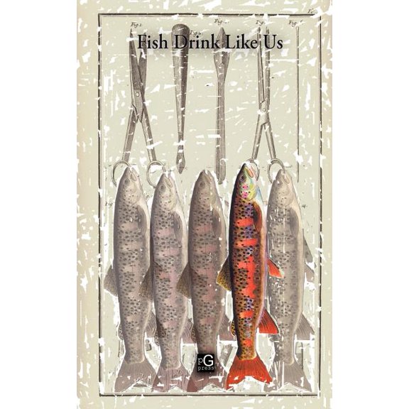 Fish Drink Like Us (Paperback)