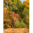 thumbnail image 2 of Fitzharris, Tim 12x14 White Modern Wood Framed Museum Art Print Titled - Verde River Valley near Camp Verde-Arizona-USA, 2 of 4