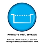 Puri Tech Powder Pool Chemicals 50 lb Calcium Hardness Increaser Plus for Swimming Pools & Spas