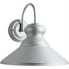 Forte Lighting 1 Light Outdoor Barn Light