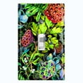 thumbnail image 1 of Metal Light Switch Plate Cover Red Lotus Pod Plant Leaves Green FLW024, 1 of 13
