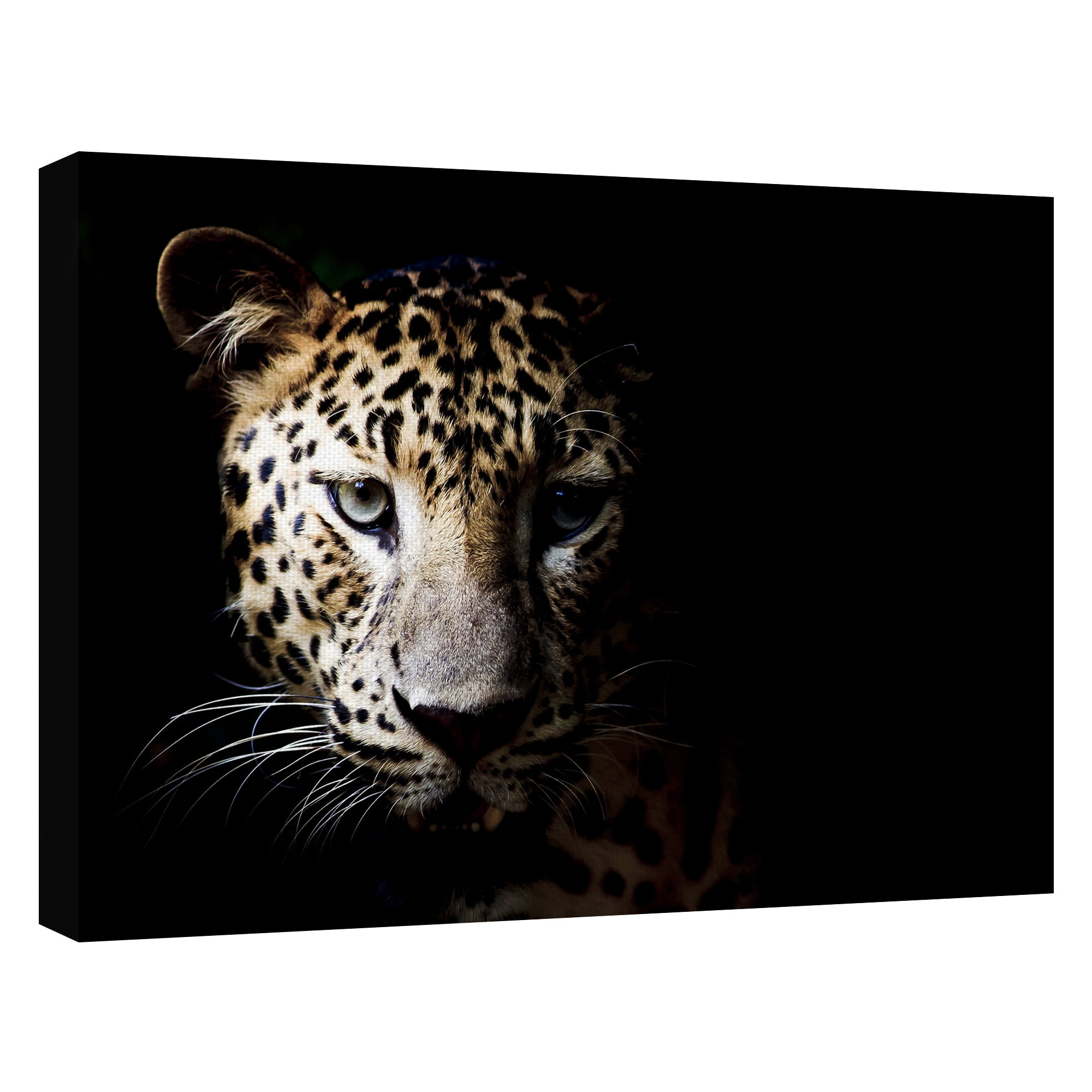 Masterpiece Art Gallery In the Shadows Leopard By Belle Maison Canvas Art Print 30" x 40"