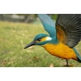 thumbnail image 5 of 11” Gray and Yellow Flying-Off Kingfisher Indoor or Outdoor Statue Decoration, 5 of 8