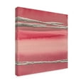 thumbnail image 2 of Trademark Fine Art 'Silver Rose I' Canvas Art by Chris Paschke, 2 of 3