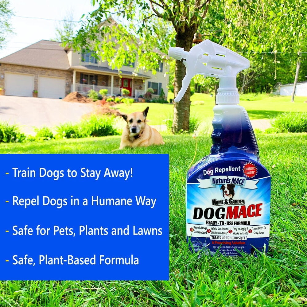 Repellent Spray Natural Dog Deterrent Dog Deterrent Best Spray To