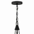 thumbnail image 3 of 45027BK-Hinkley Lighting-Danvers - 12W 1 LED Small Pendant In Traditional Style-32 Inches Tall and 11 Inches Wide-Black Finish, 3 of 8