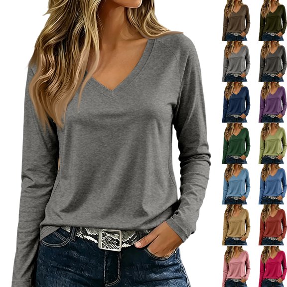Basysin Women's Long Sleeve Shirts V Neck Fall Tops Soft Tshirts Basic Tee Winter Layer Clothing Business Casual Work Fall Outfits