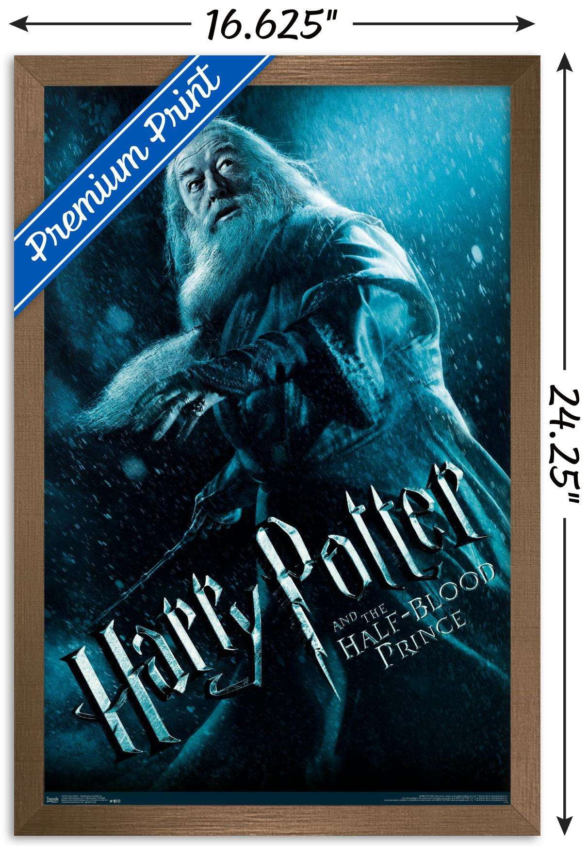 Harry Potter and the Half-Blood Prince - Dumbledore One Sheet Wall Poster, 14.725" x 22.375", Framed