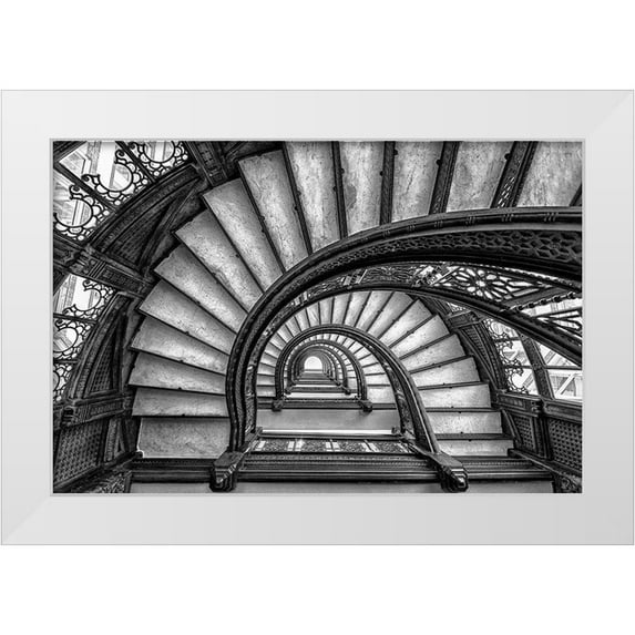Sun, Yimei 24x17 White Modern Wood Framed Museum Art Print Titled - The Rookery
