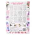 thumbnail image 4 of Plastic Nail Stamping Plates, Fine Workmanship Novel Appearance Nail Art Template, For Home Salon Shop, 4 of 8