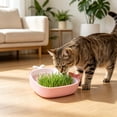thumbnail image 4 of Dxssxc Whale Shaped Cat Grass Planter, Soilless Hydroponic Growing Kit for Indoor Cats, Wheatgrass Catnip Planting Pot with Drainage, Cute Decorative for Home Kitchen, 4 of 6
