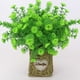 thumbnail image 4 of Toystoory Decoración de jardín Artificial de hierba de plantas falsas de musgo de pino para interiores y exteriores Plantas Artificiales 7 tenedor pino peludo, 4 of 6