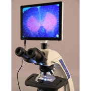 AmScope 40X-2500X Plan Infinity Laboratory Compound Microscope with LCD Touch Pad Screen New