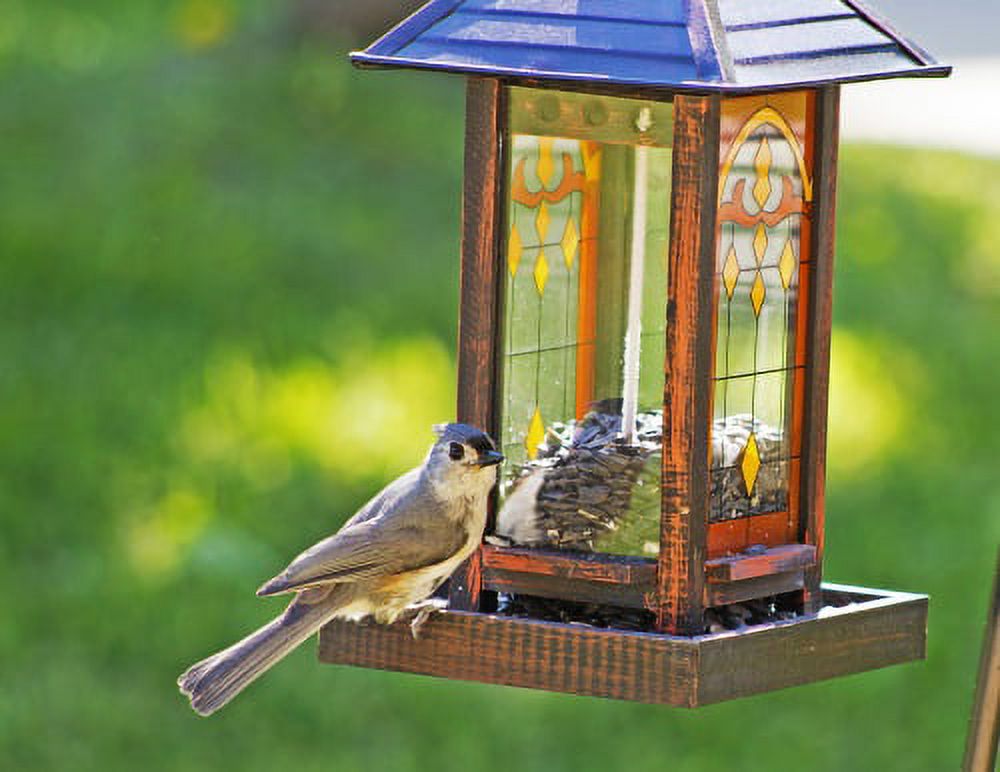 10 LB Wagner's Four Season Sunflower Wild Bird Food